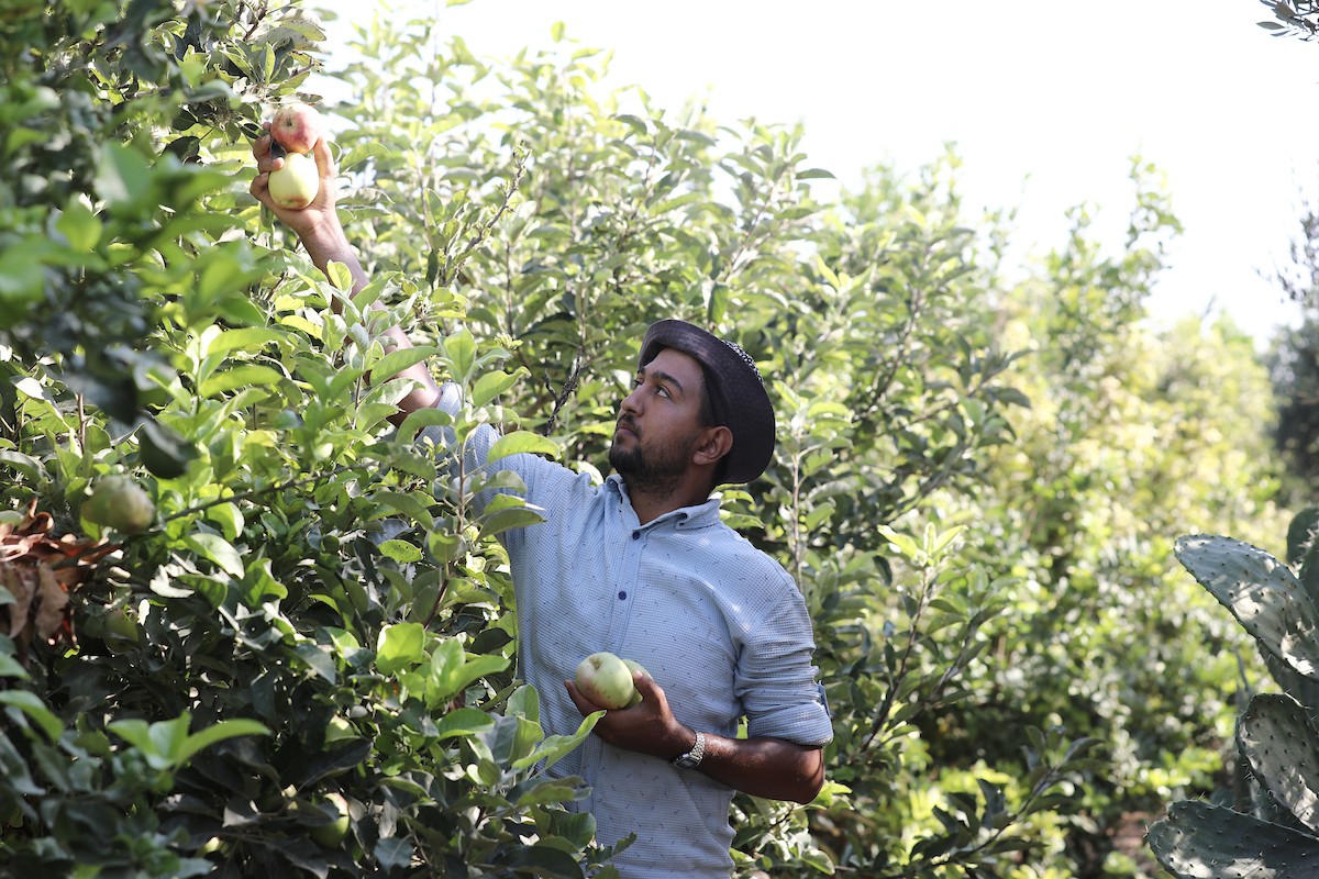 130723_GAZA_OSH_00 (6).jpg