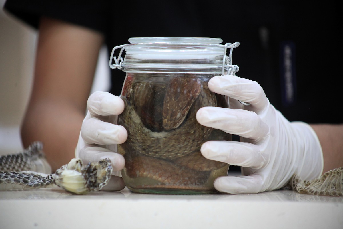 230723_GAZA_OSH_00 (17).jpg