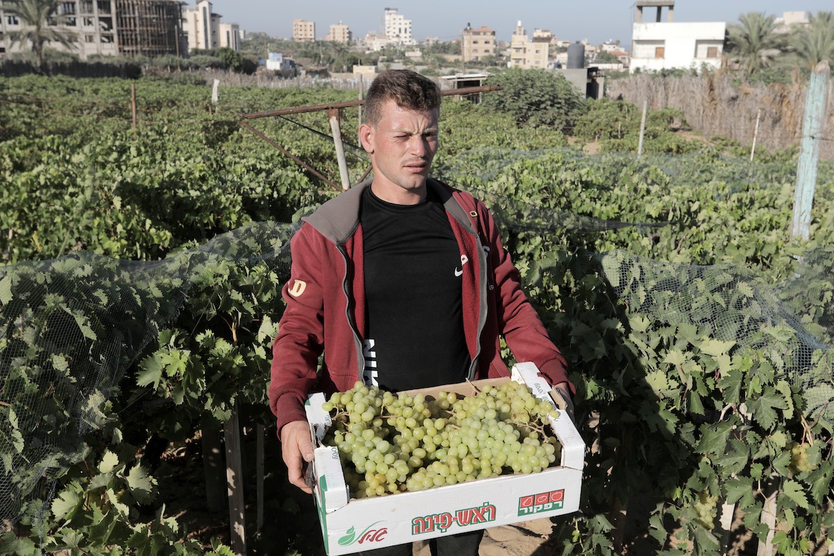 170723_GaZA_OSH_00 (52).jpg