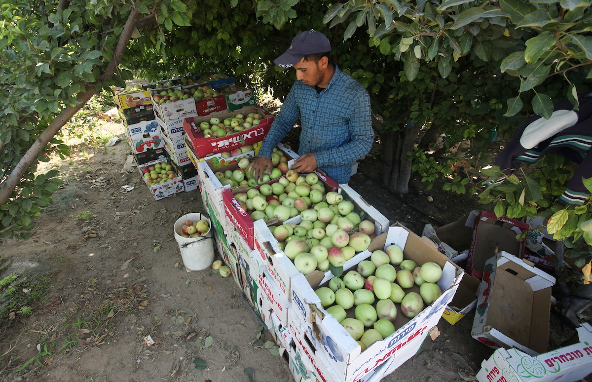 130723_GAZA_OSH_00 (45).jpg