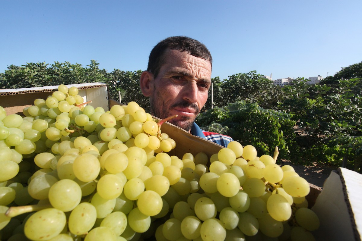 170723_GaZA_OSH_00 (37).jpg