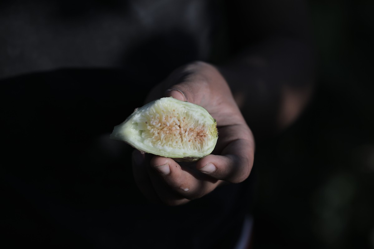 120723_GAZA_OSH_00 (37).jpg