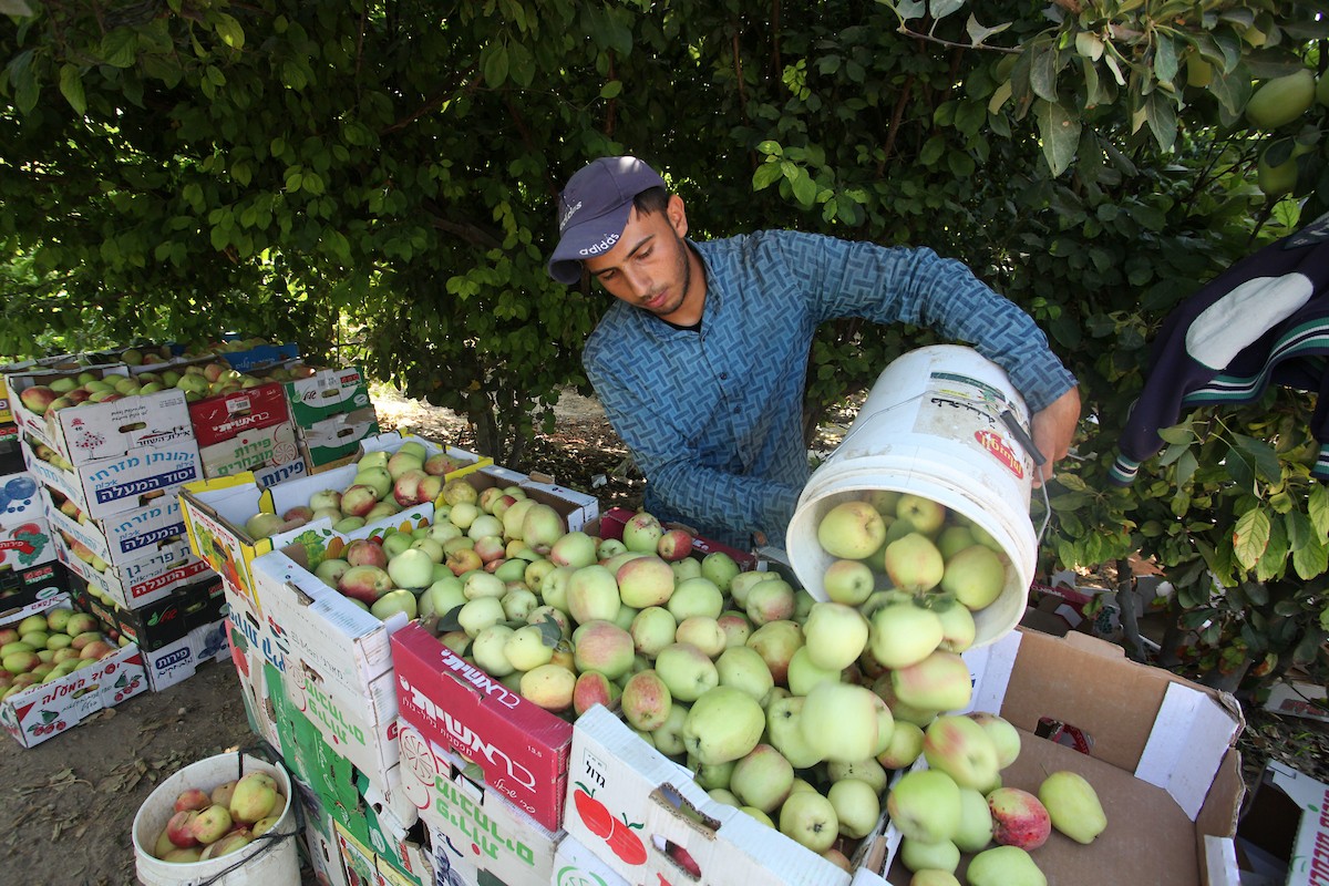 130723_GAZA_OSH_00 (39).jpg