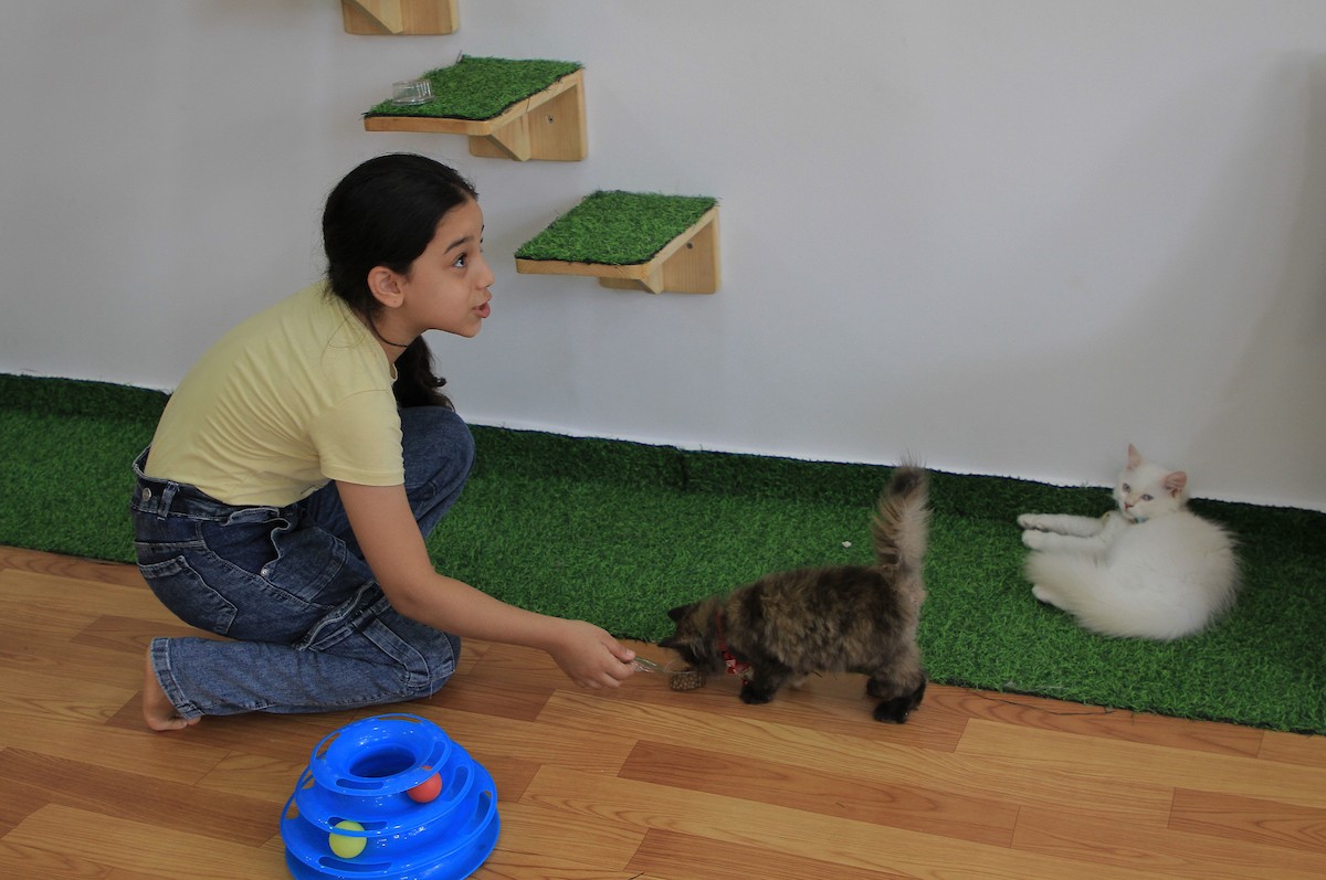 170823_GAZA_OD_00 (20).jpg