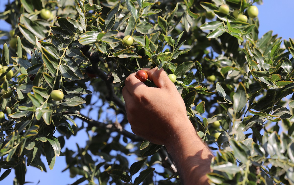 270823_GAZA_OSH_00 (25).jpg