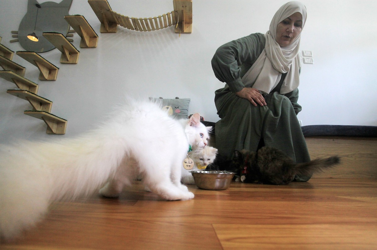 170823_GAZA_OD_00 (41).jpg