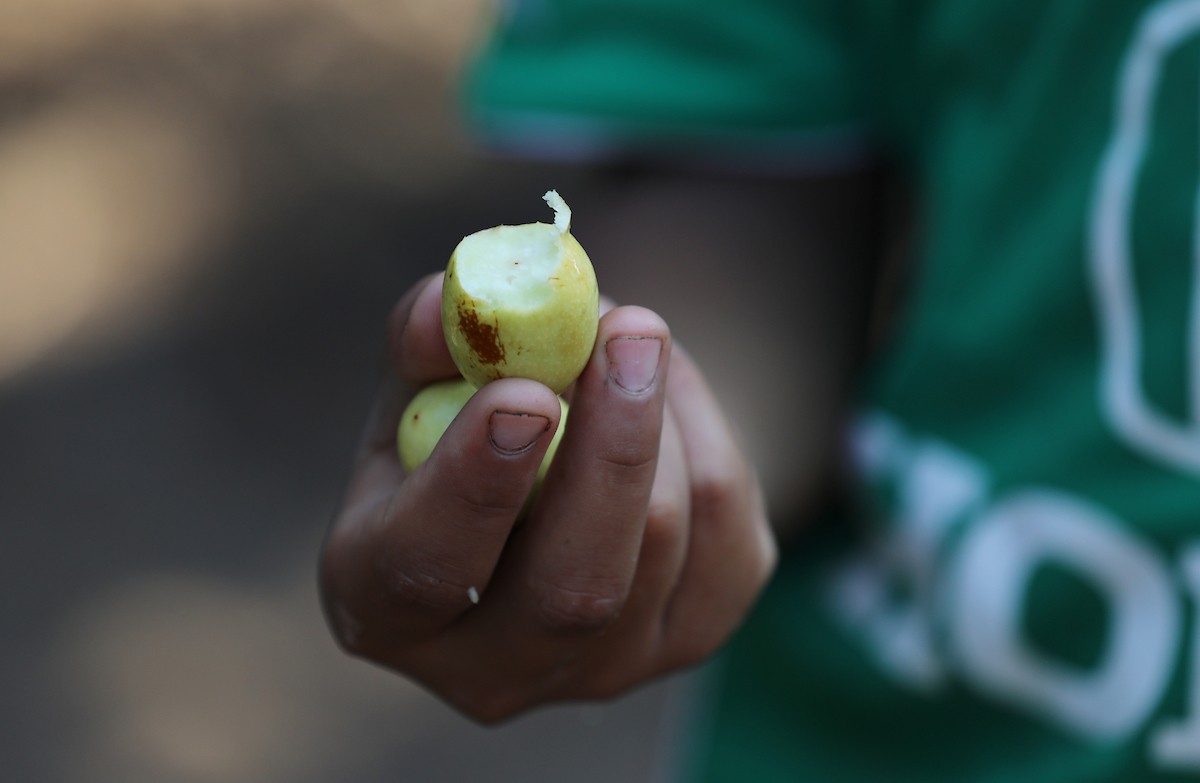 270823_GAZA_OSH_00 (1).jpg