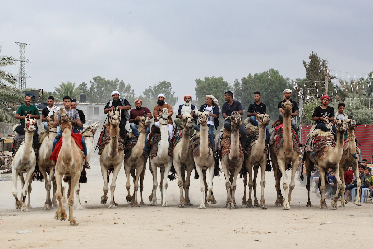 150823_GAZA_OSH_00 (54).jpg