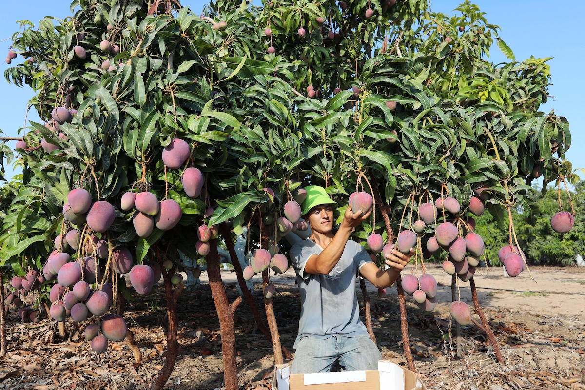 110821_GAZA_ASH_00 (45).jpg