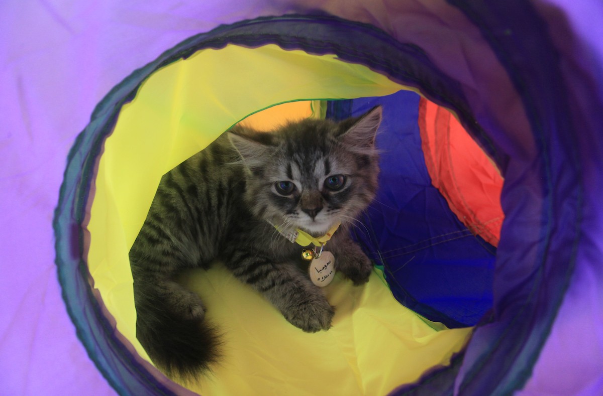 170823_GAZA_OD_00 (38).jpg