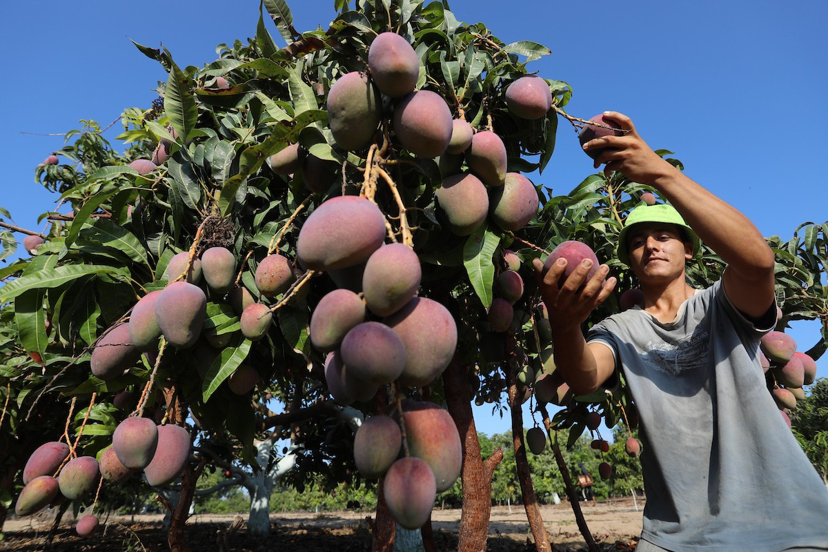 110821_GAZA_ASH_00 (25).jpg