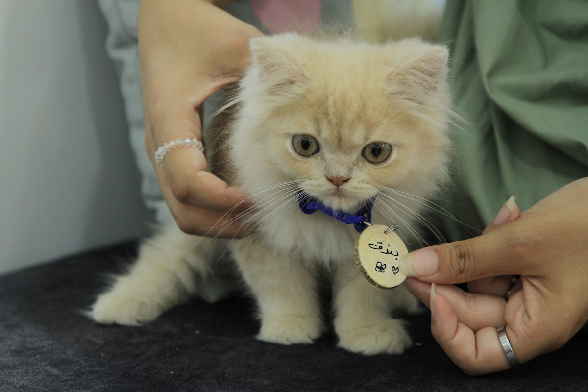 170823_GAZA_OD_00 (9).jpg