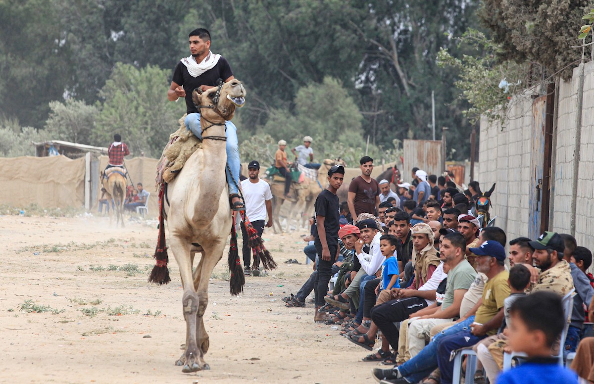 150823_GAZA_OSH_00 (47).jpg