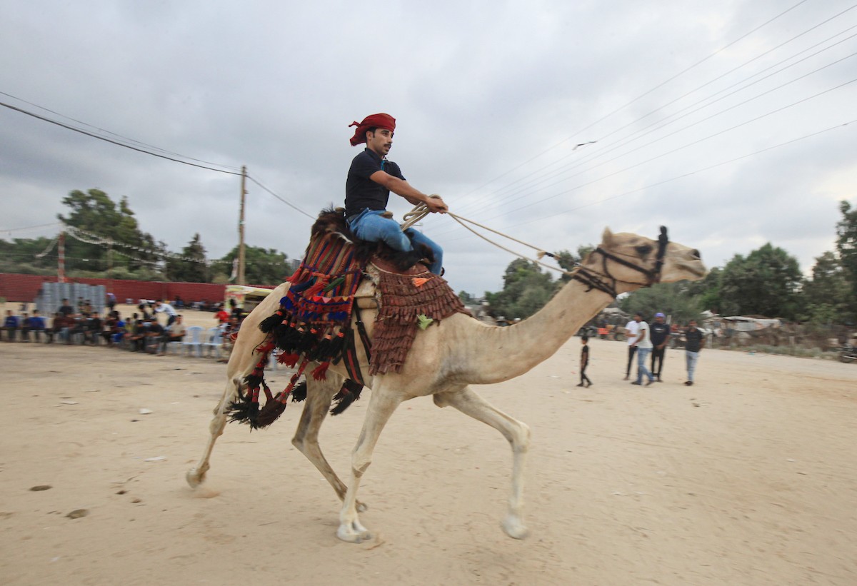 150823_GAZA_OSH_00 (42).jpg