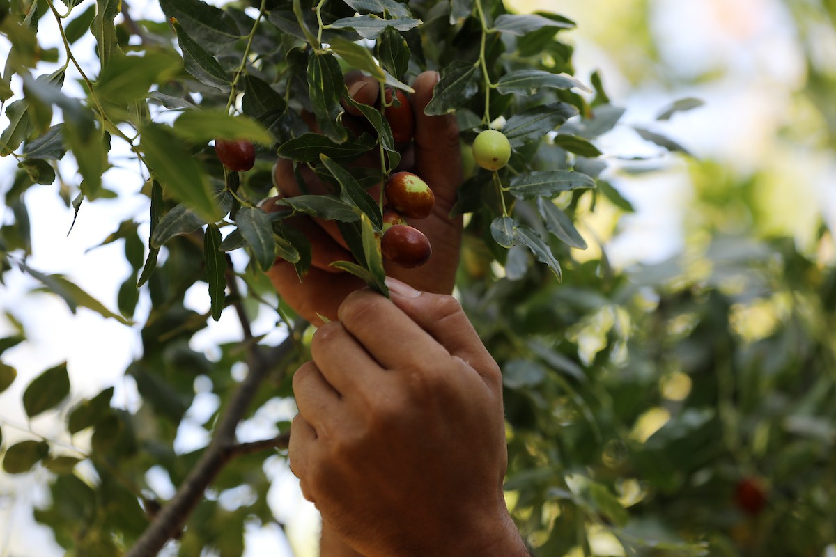 270823_GAZA_OSH_00 (4).jpg