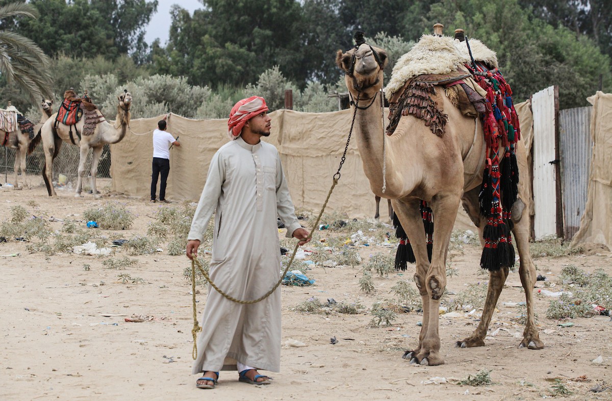 150823_GAZA_OSH_00 (62).jpg