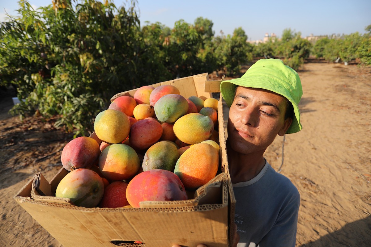 110821_GAZA_ASH_00 (91).jpg