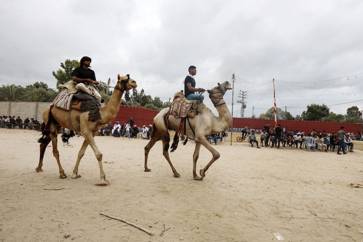 150823_GAZA_OSH_00 (35).jpg