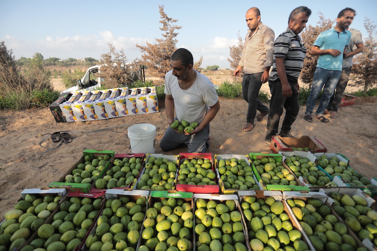 050922_KHANYOUNIS_ASH_00 (15).jpg