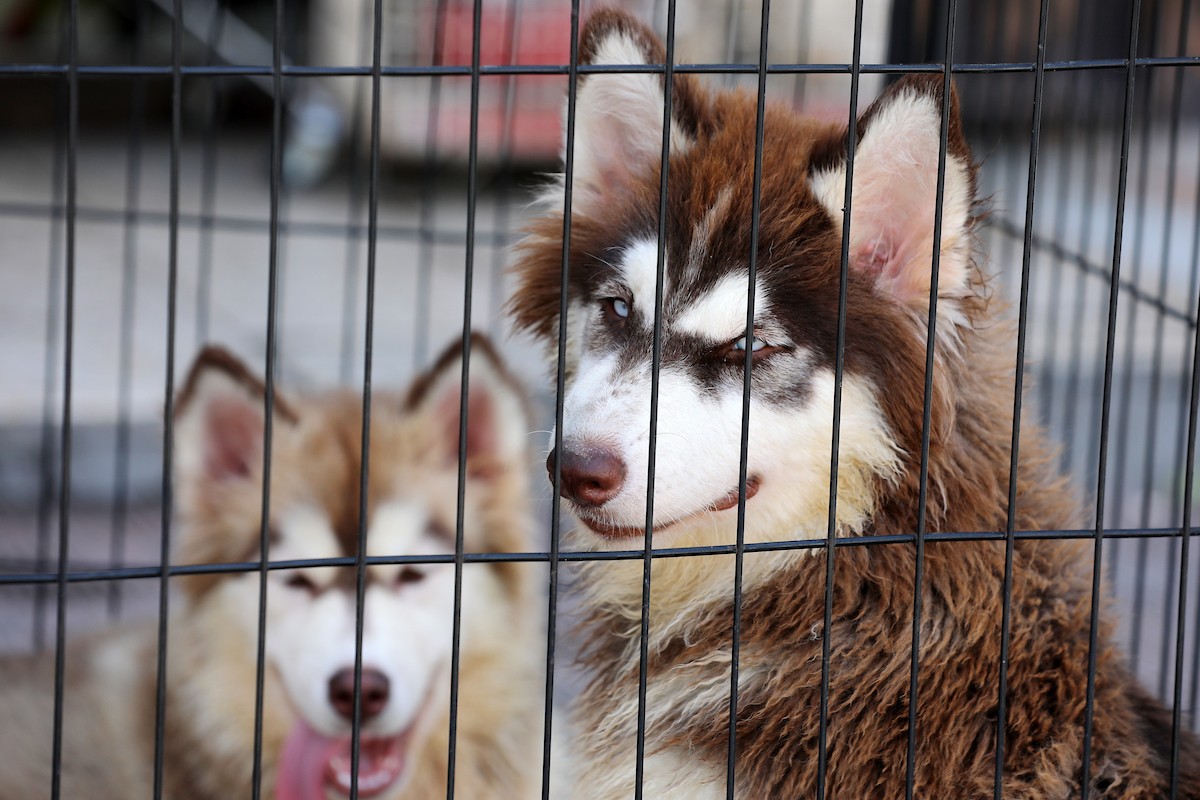 070923_GAZA_OSH_00 (18).jpg