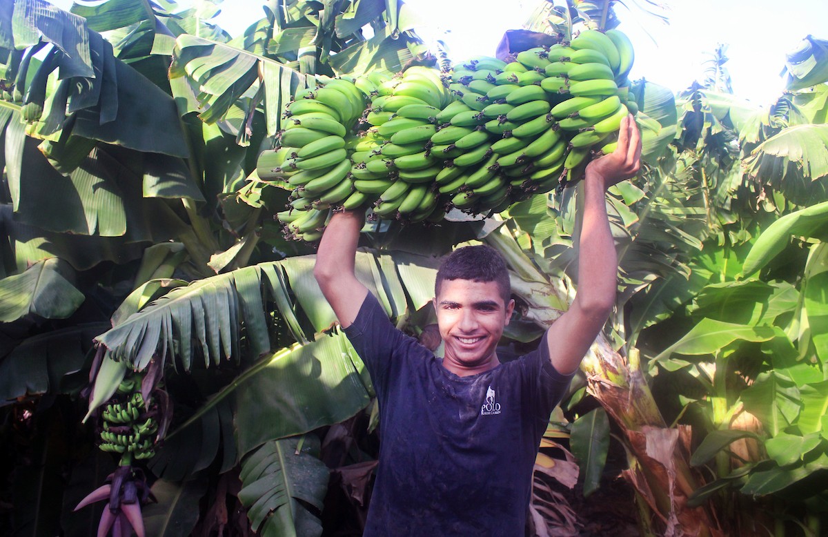 090923_Jericho_MJ_00 (5).jpg