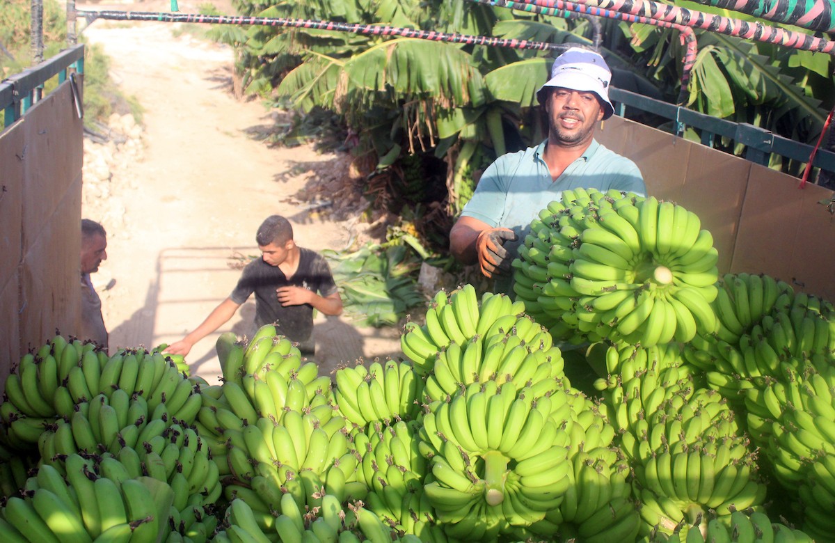 090923_Jericho_MJ_00 (15).jpg