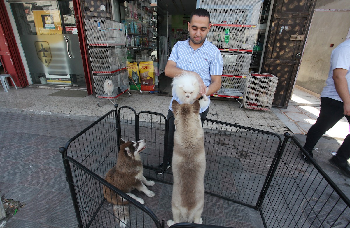 070923_GAZA_OSH_00 (12).jpg