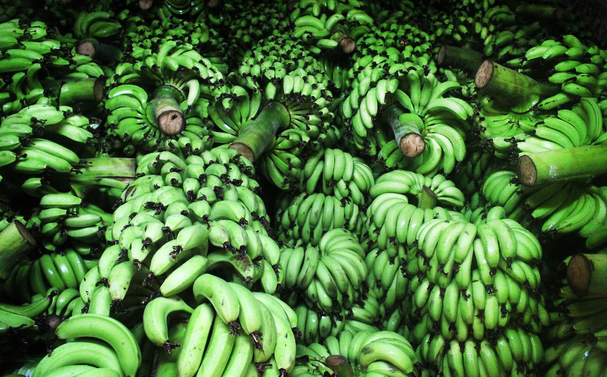 090923_Jericho_MJ_00 (16).jpg