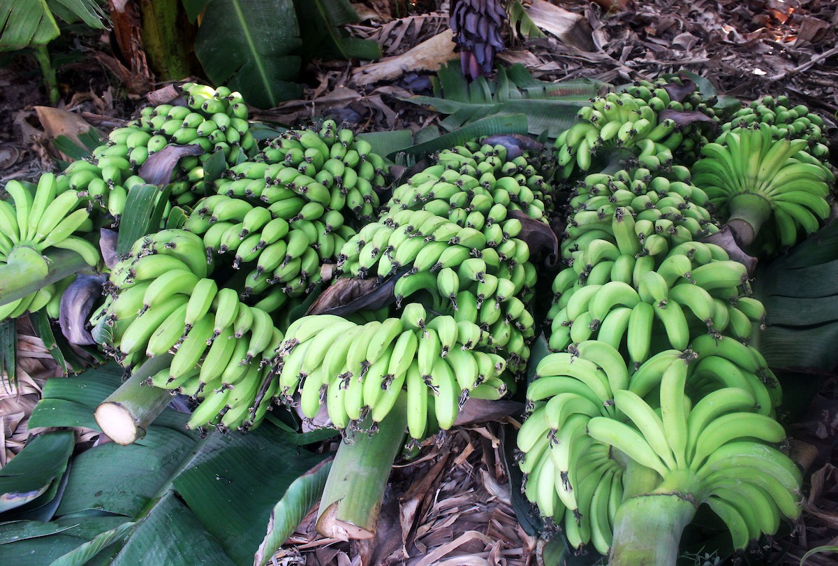 090923_Jericho_MJ_00 (13).jpg