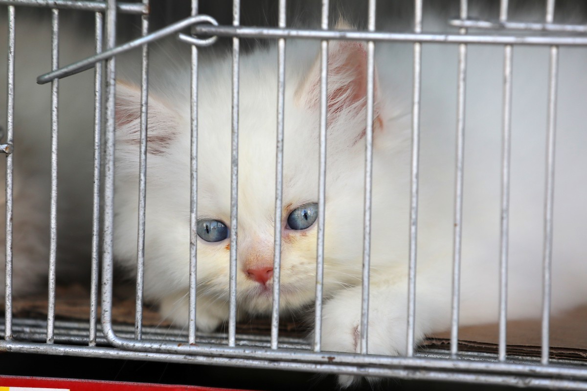 070923_GAZA_OSH_00 (4).jpg