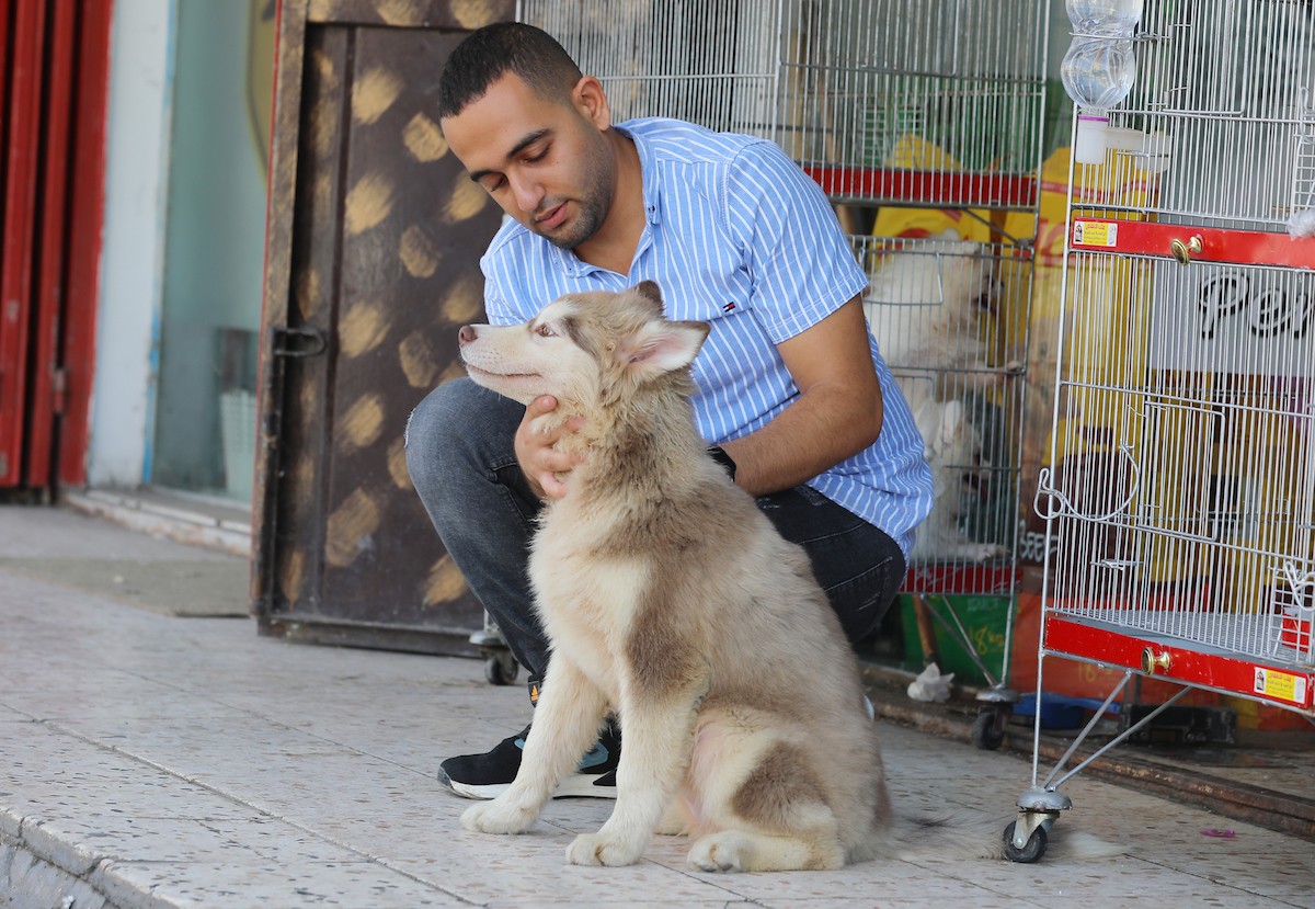 070923_GAZA_OSH_00 (2).jpg