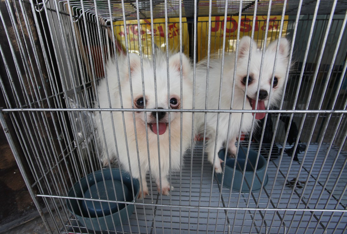 070923_GAZA_OSH_00 (16).jpg