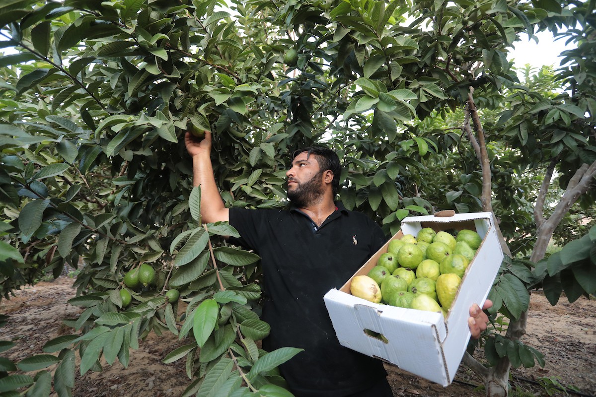 050922_KHANYOUNIS_ASH_00 (72).jpg