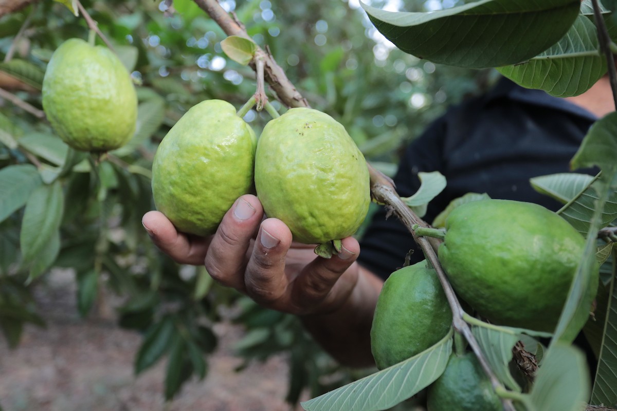 050922_KHANYOUNIS_ASH_00 (54).jpg