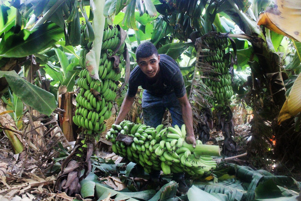 090923_Jericho_MJ_00 (12).jpg