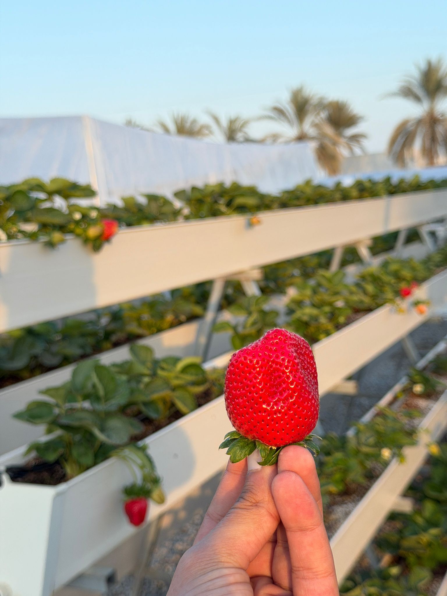 WhatsApp Image 2026-01-22 at 8.55.14 PM.jpeg