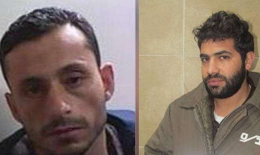 رامي عمودي ورجب دقة